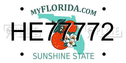 HE77772 Florida License Plate