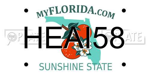 HEAI58 Florida License Plate