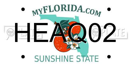 HEAQ02 Florida License Plate