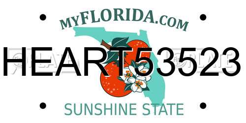 HEART53523 Florida License Plate