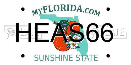 HEAS66 Florida License Plate