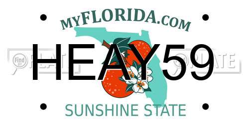 HEAY59 Florida License Plate
