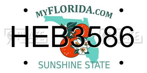 HEB3586 Florida License Plate