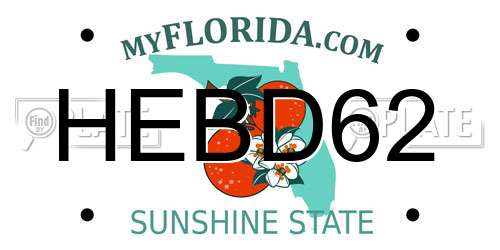 HEBD62 Florida License Plate