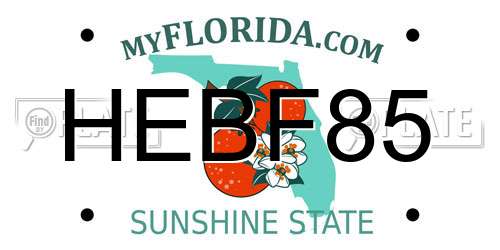 HEBF85 Florida License Plate