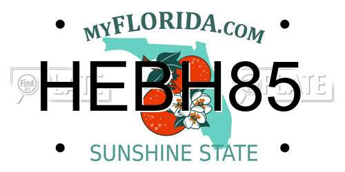 HEBH85 Florida License Plate