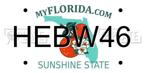 HEBW46 Florida License Plate