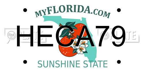 HECA79 Florida License Plate