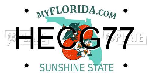 HECG77 Florida License Plate