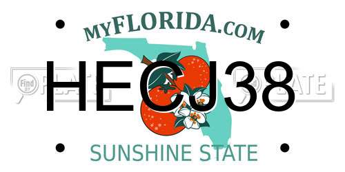 HECJ38 Florida License Plate