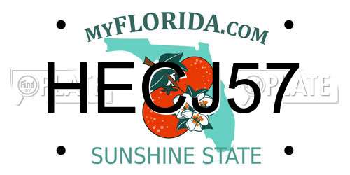 HECJ57 Florida License Plate