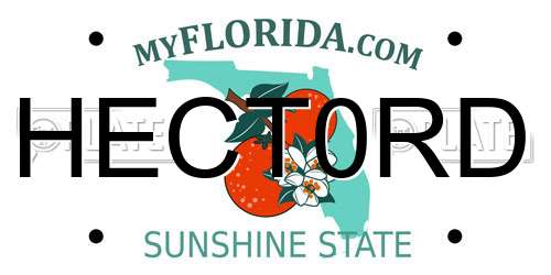 HECT0RD Florida License Plate