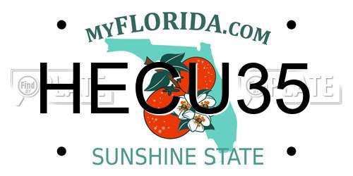 HECU35 Florida License Plate