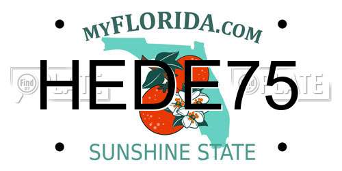 HEDE75 Florida License Plate