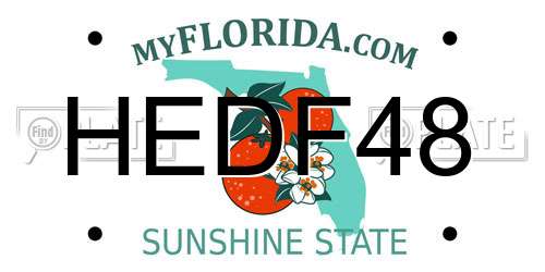 HEDF48 Florida License Plate