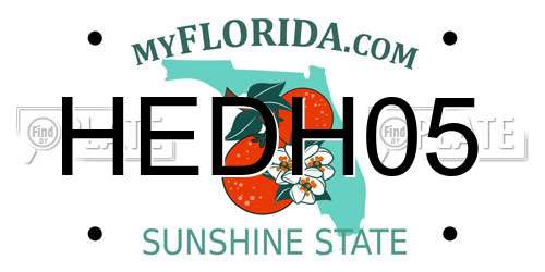 HEDH05 Florida License Plate