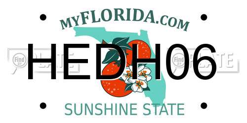HEDH06 Florida License Plate