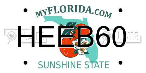 HEEB60 Florida License Plate