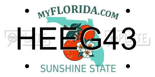 HEEG43 Florida License Plate