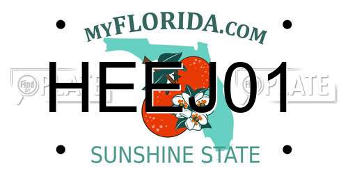 HEEJ01 Florida License Plate