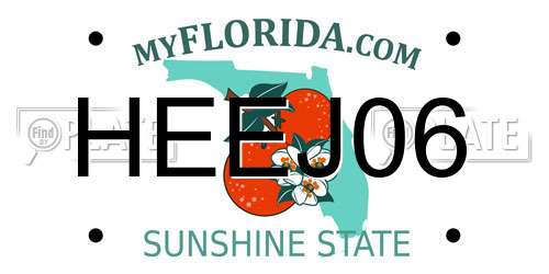 HEEJ06 Florida License Plate