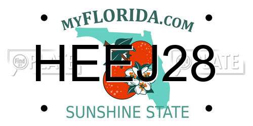 HEEJ28 Florida License Plate