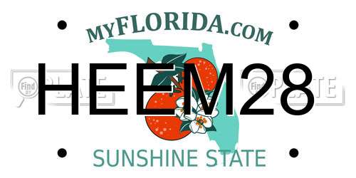 HEEM28 Florida License Plate