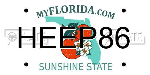 HEEP86 Florida License Plate