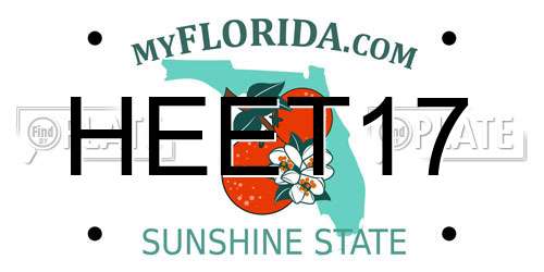 HEET17 Florida License Plate