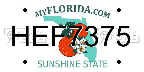 HEF7375 Florida License Plate