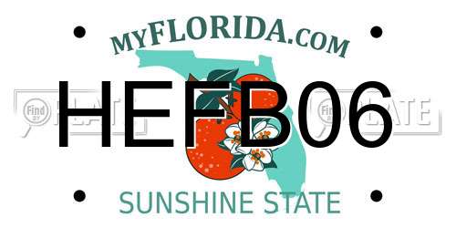 HEFB06 Florida License Plate