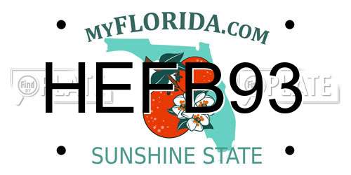 HEFB93 Florida License Plate