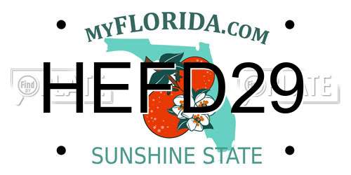 HEFD29 Florida License Plate