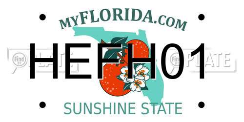 HEFH01 Florida License Plate