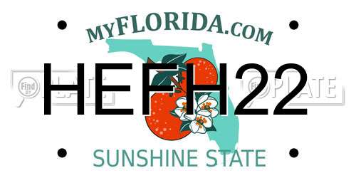 HEFH22 Florida License Plate