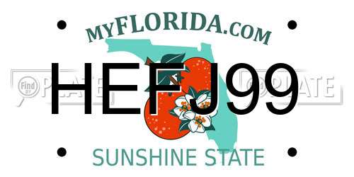 HEFJ99 Florida License Plate