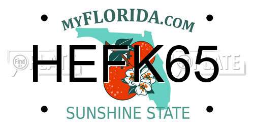 HEFK65 Florida License Plate