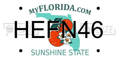 HEFN46 Florida License Plate