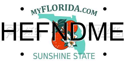 HEFNDME Florida License Plate