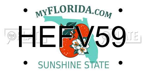 HEFV59 Florida License Plate