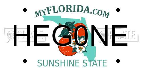 HEG0NE Florida License Plate