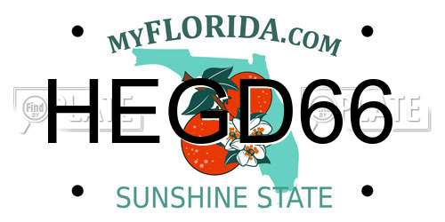 HEGD66 Florida License Plate