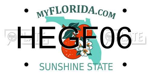 HEGF06 Florida License Plate