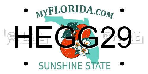 HEGG29 Florida License Plate