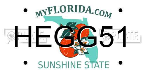 HEGG51 Florida License Plate