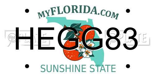 HEGG83 Florida License Plate