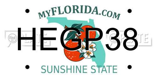 HEGP38 Florida License Plate