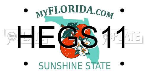 HEGS11 Florida License Plate