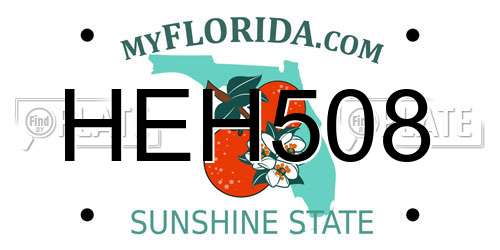 HEH508 Florida License Plate