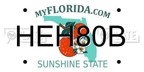 HEH80B Florida License Plate